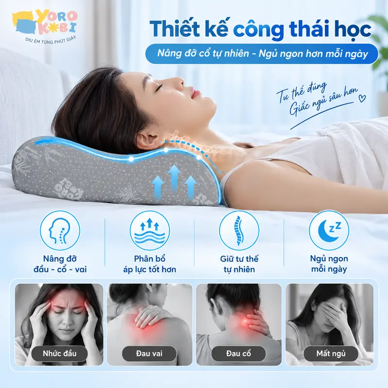 Thiết kế công thái học hỗ trợ nâng đỡ cổ tự nhiên Thiết kế công thái học hỗ trợ nâng đỡ cổ tự nhiên