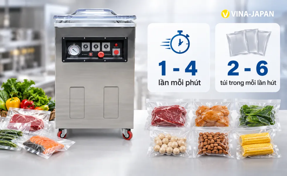 Năng suất máy hút chân không DZQ 500